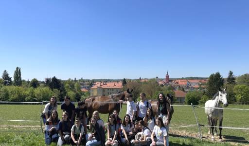 Erasmus dan u VUK-u