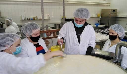 Proizvodnja svježeg sira u mljekarskom praktikumu
