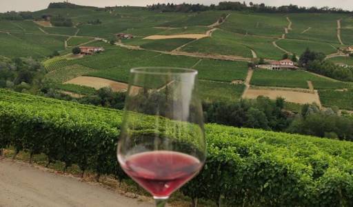 Studijsko putovanje - posjet vinskoj regiji Piedmont u Italiji