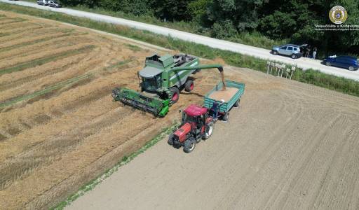 Žetva pokusa visoko produktivnih sorata pšenice Poljoprivrednog instituta Osijek
