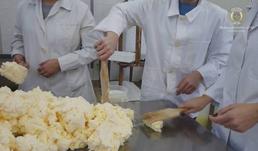 Obavljanje stručne prakse u mljekarskom praktikumu Srednje gospodarske škole Križevci